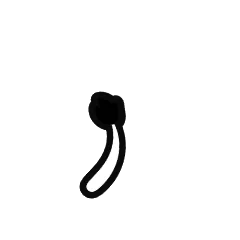Tail 12
